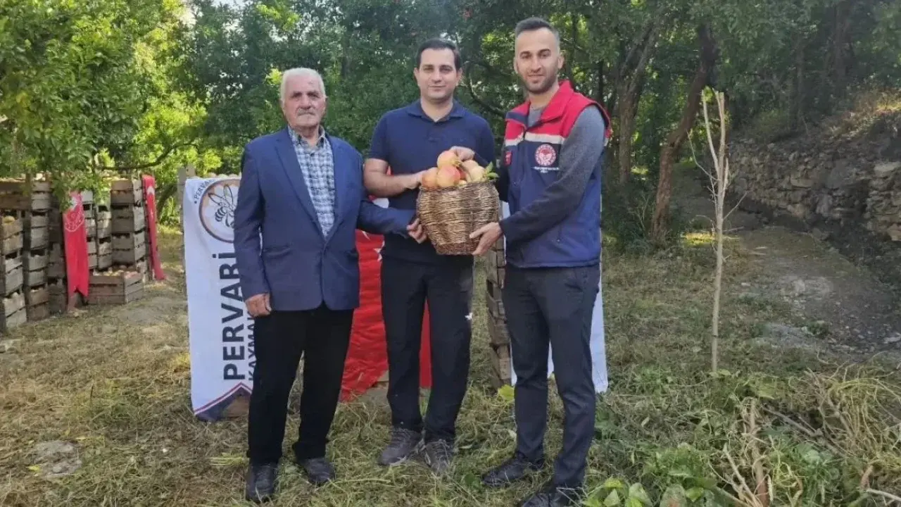 4 Bin 500 Dekarda Nar Hasadı