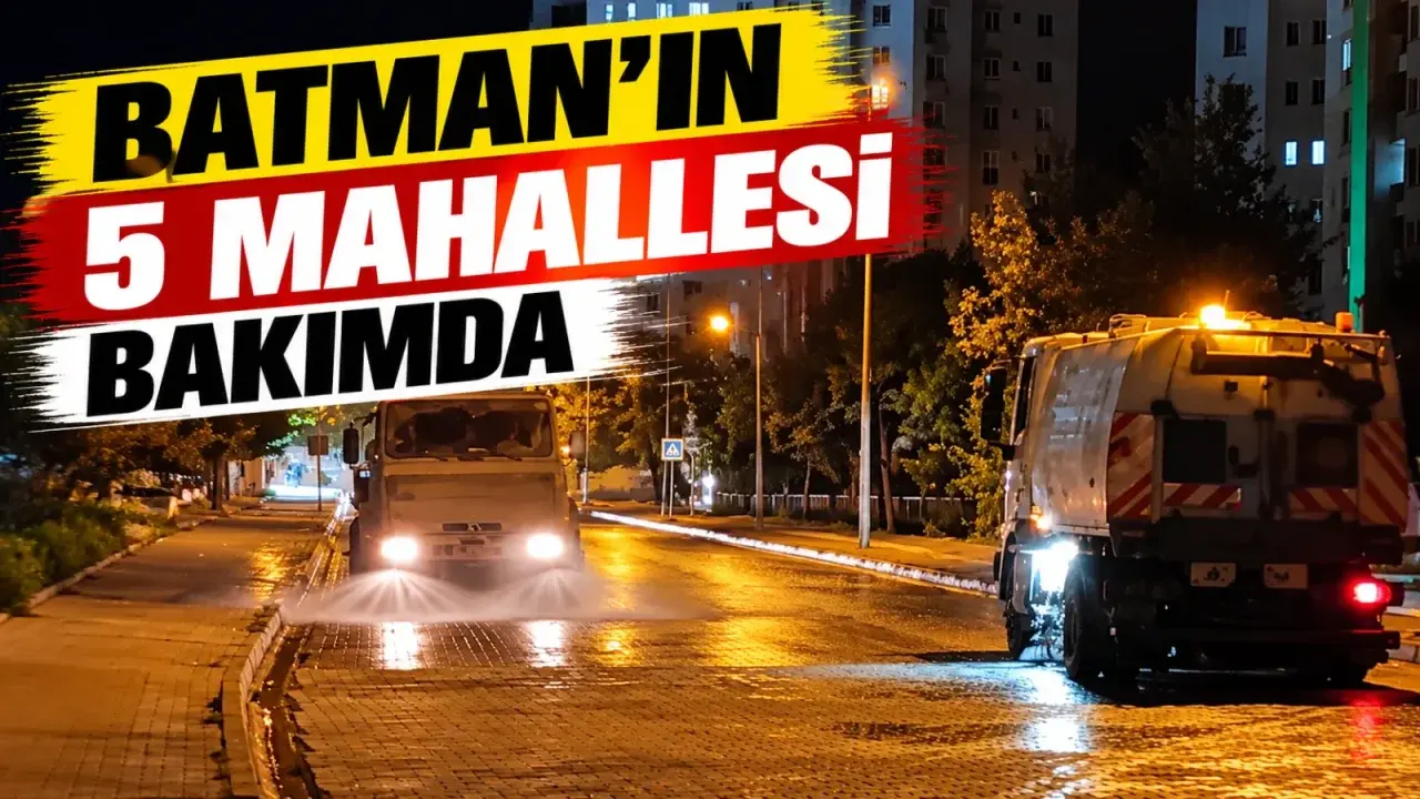 Batman’ın 5 mahallesi bakımda