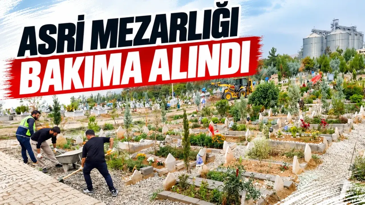 Asri Mezarlığı bakıma alındı