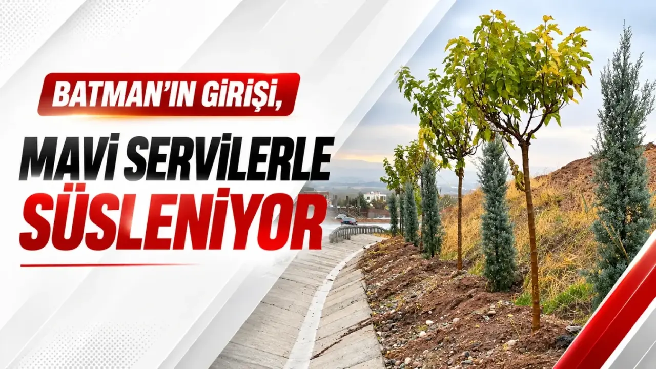 Batman’ın girişi, mavi servilerle süsleniyor