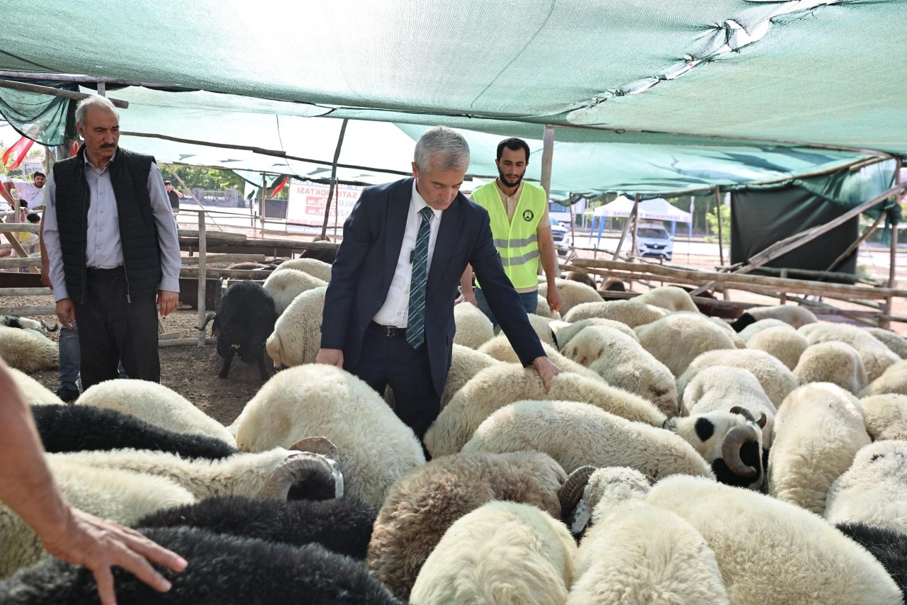 BAŞKAN TAHMAZOĞLU KURBAN FİYATLARINI AÇIKLADI