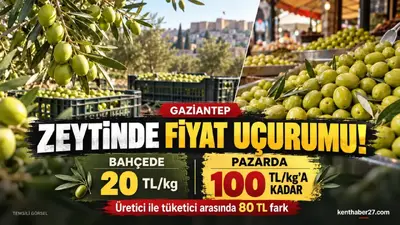 Gaziantep’te zeytinin fiyat yolculuğu: Bahçede 20, pazarda 100 TL
