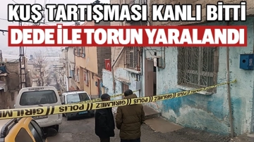 Kuş tartışması silahlı kavgaya dönüştü: Dede ve torun yaralandı