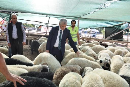 BAŞKAN TAHMAZOĞLU KURBAN FİYATLARINI AÇIKLADI