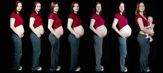 GEBELİKTE HALSİZLİK İLE BAŞA &Ccedil;IKMANIN 5 YOLU