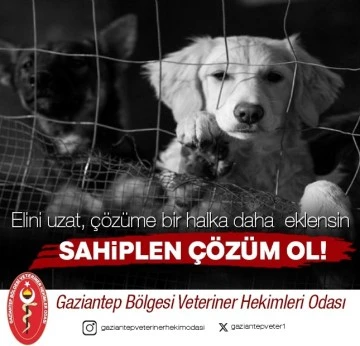 MELTEM PERİ SOKAK HAYVANLARI ÇAĞRI