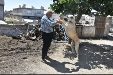 ŞAHİNBEY BELEDİYESİ
