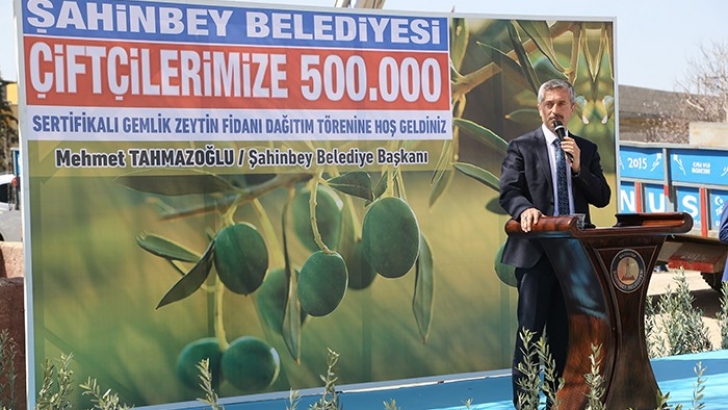 Zeytinli Mahallesi'ne Zeytin Fidanı Dağıtıldı