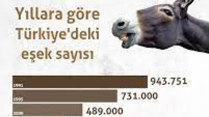 Eşek sayısında şüpheli düşüş!