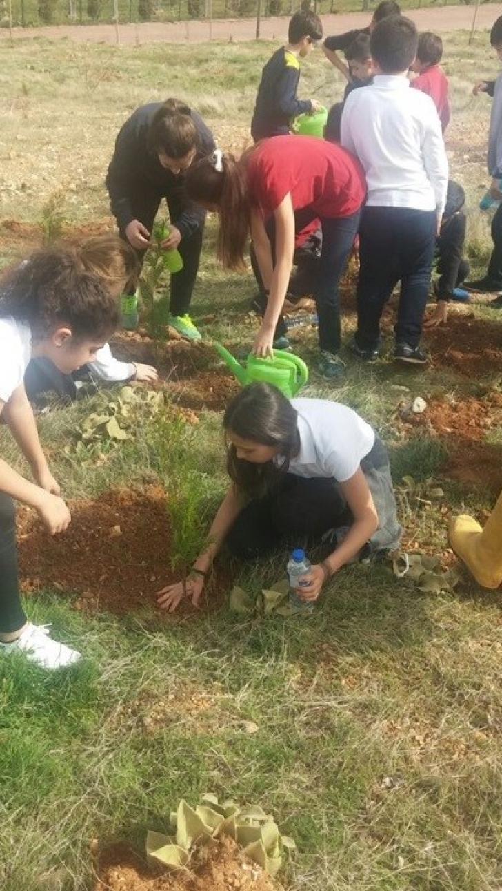 Seçkin Koleji Yeşilvadi’yi Ağaçlandırdı