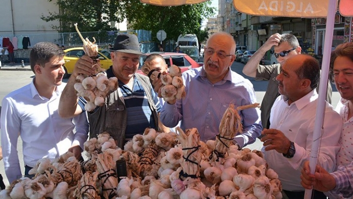 Araban sarımsağının ünü sınırları aştı