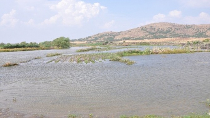 Tarım arazilerini su bastı