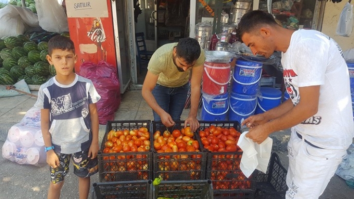 Yavuzeli çiftçisinden organik tarım tavsiyesi