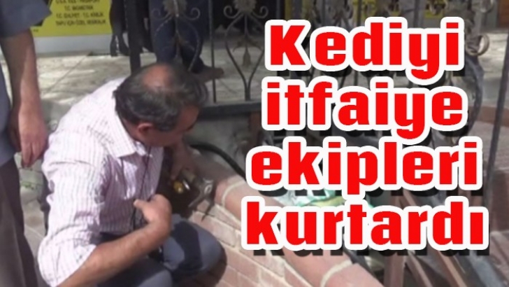 Kediyi itfaiye ekipleri kurtardı 