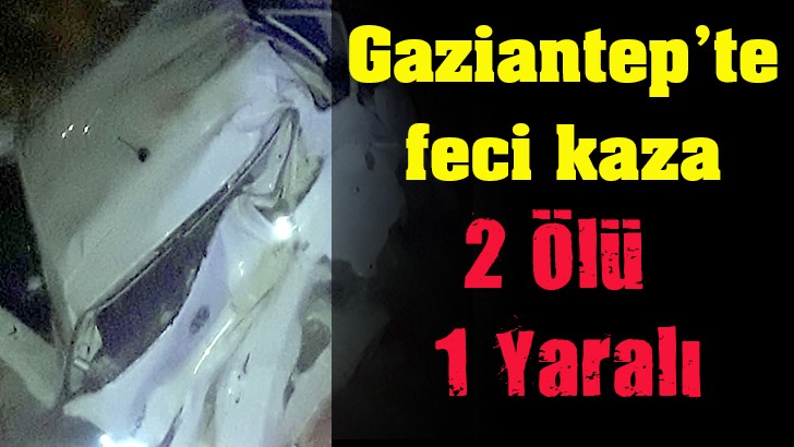 Otomobil karşıdan karşıya geçen yayalara çarptı: 2 ölü, 1 yaralı