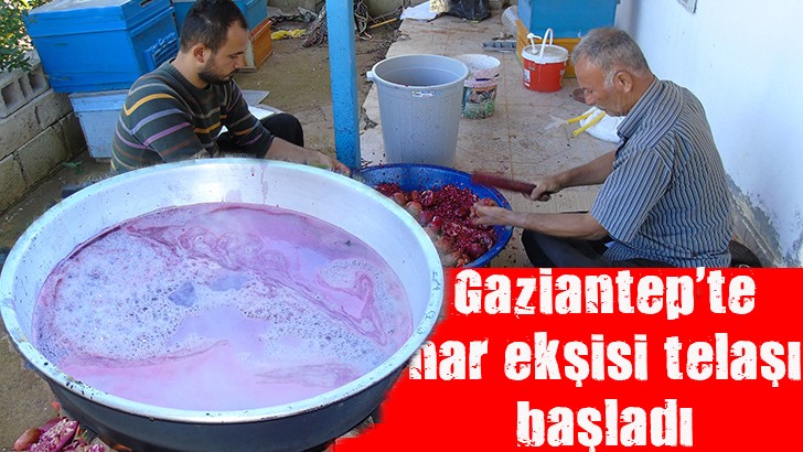 Gaziantep'te nar ekşisi telaşı başladı 