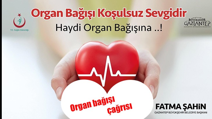 “18 Yaş üstündeki herkes organ bağış belgesi alabilir” 