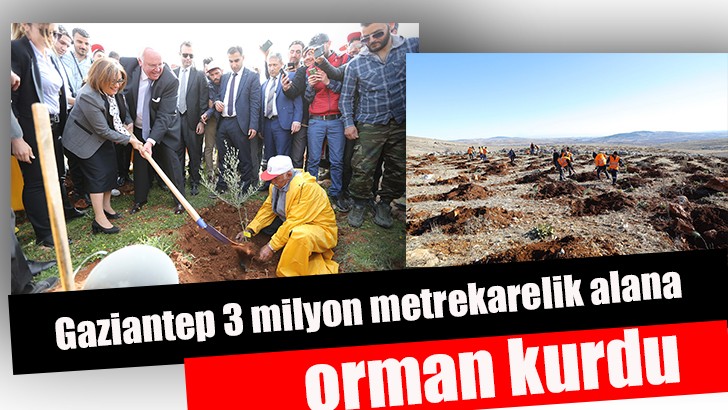 Gaziantep 3 milyon metrekarelik alana orman kurdu