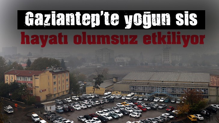  Gaziantep'te yoğun sis hayatı olumsuz etkiliyor 