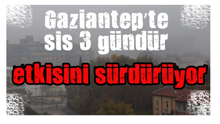 Gaziantep’te sis 3 gündür etkisini sürdürüyor 