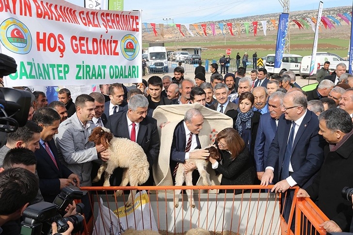 Gaziantep'te tarım ve hayvancılığa büyük destek