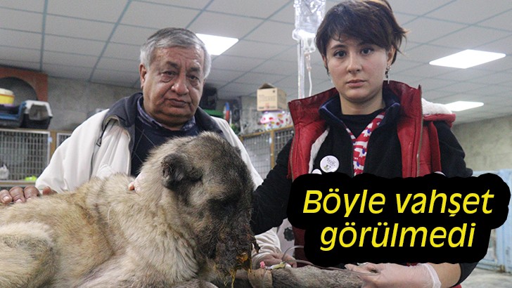 Böyle vahşet görülmedi