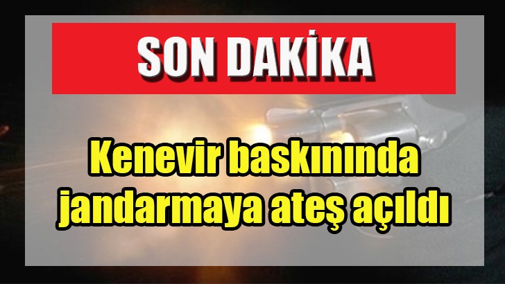 Kenevir baskınında jandarmaya ateş açıldı