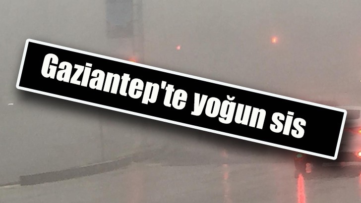 Gaziantep'te yoğun sis