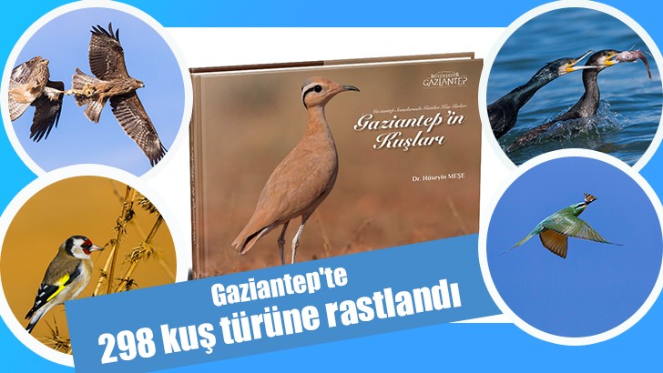 Gaziantep'de 298 kuş türüne rastlandı