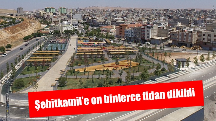 Şehitkamil’e on binlerce fidan dikildi 