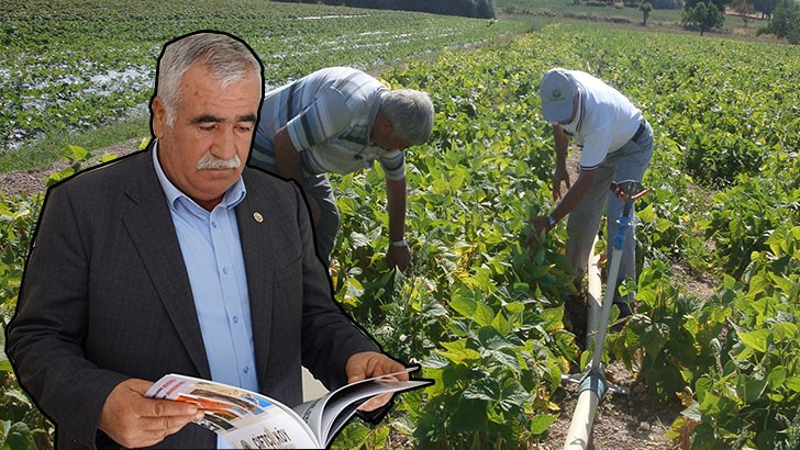 Yiğit; Geleneksel tarıma son vermeliyiz!