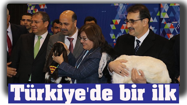 Türkiye'de bir ilk 