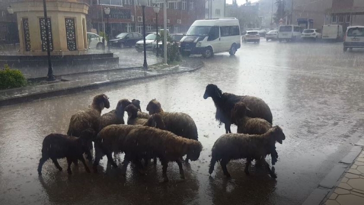 Yavuzeli'ni sağanak vurdu