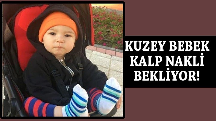 Kuzey bebek kalp nakli bekliyor