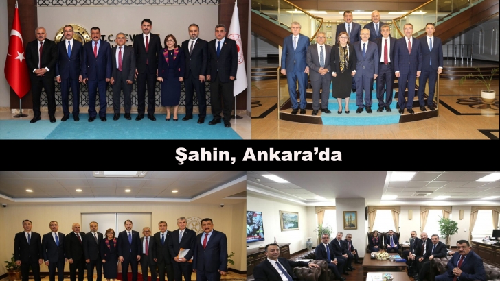 Şahin, Ankara’da