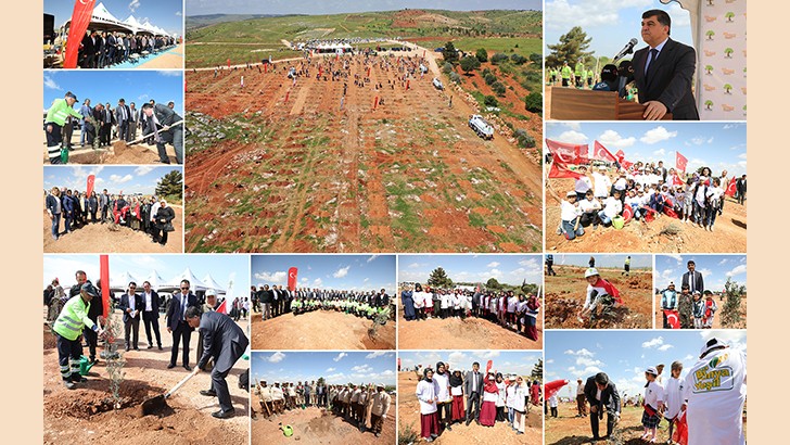 18. Etap Şehitkamil Ormanı, Arıl Mahallesi’nde hayat buldu