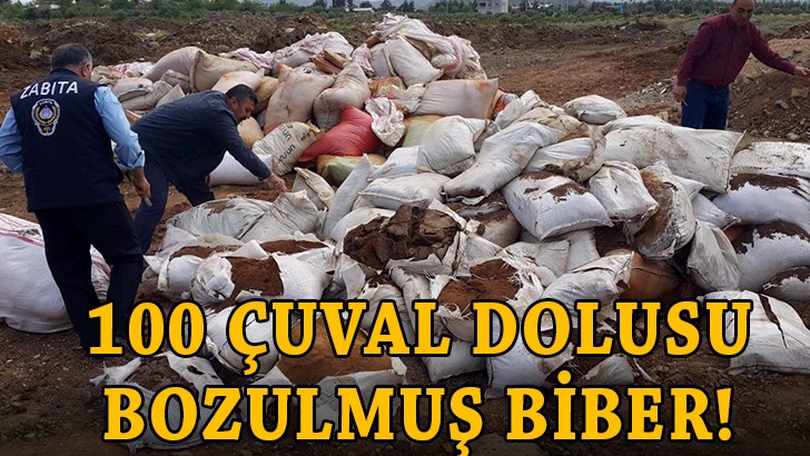 İslahiye'de küflenmiş ve kokmuş biber alarmı