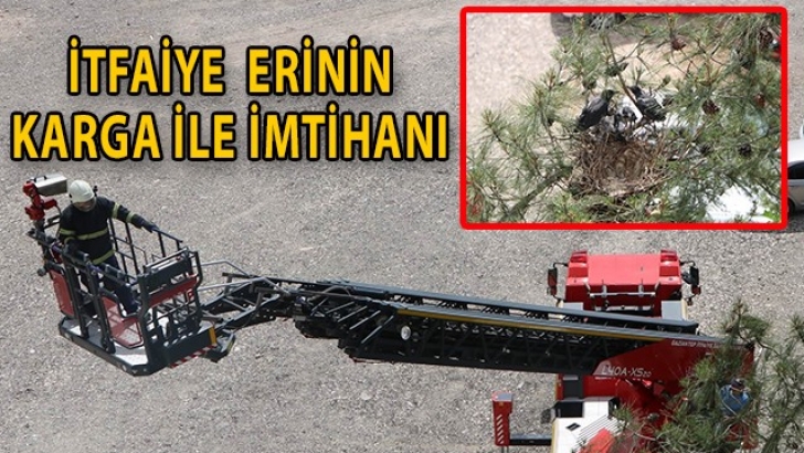 İtfaiye erinin karga ile imtihanı