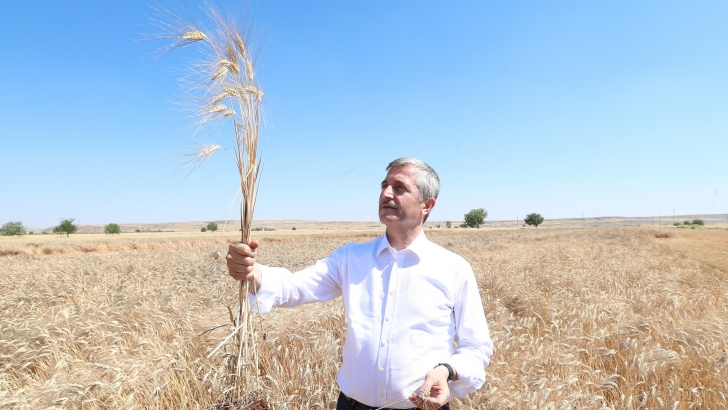 Başkan Tahmazoğlu Çiftçilerin Sevincine Ortak Oldu