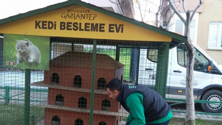Büyükşehir, Sokak Hayvanlarını Unutmuyor