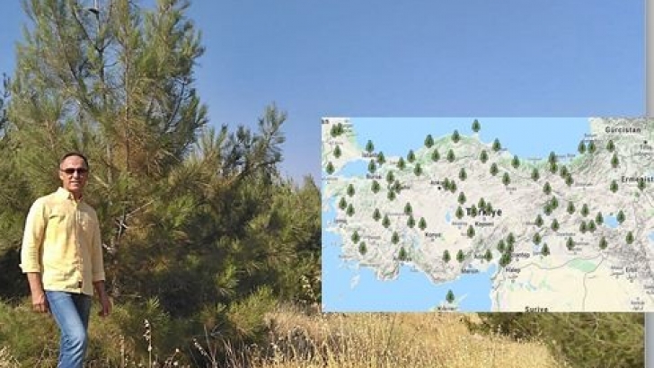 81 İlde 81 Orman Projesi Gaziantep