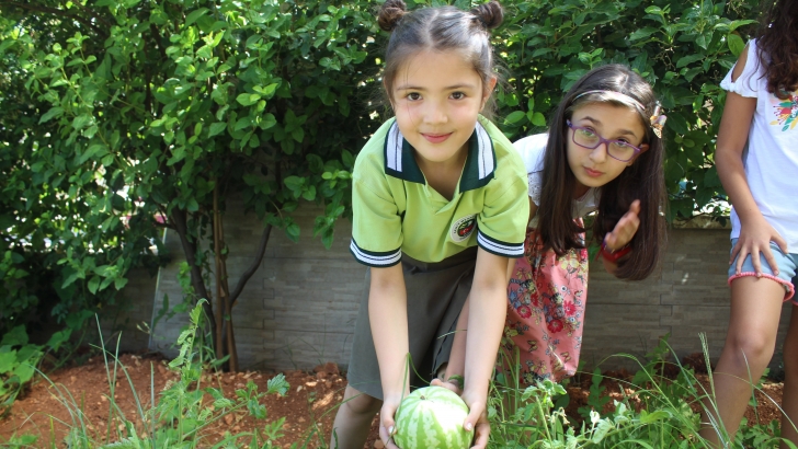 Okul Bahçesinde Organik Sebze ve Meyve Üretiyorlar