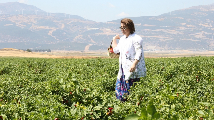 BAŞKAN ŞAHİN, GASTROANTEP FESTİVALİ’Nİ BİBER HASADIYLA AÇTI