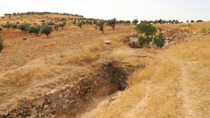 TARİHİ HALEP ARIĞI TESCİLLENDİ