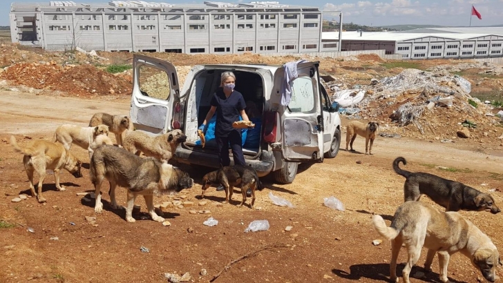 ANKA ve  CAHİDE  Aç Kalan Sokak Hayvanlarını Besledi