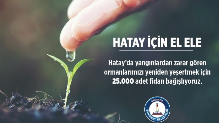 ŞAHİNBEY BELEDİYESİ’NDEN HATAY’A 25.000 FİDAN