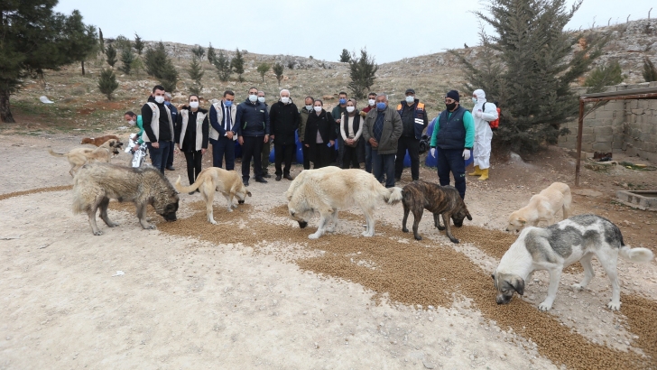 SOKAK HAYVANLARINI BESLEYEN BÜYÜKŞEHİR EKİBİNE HATİPOĞLU DA KATILDI