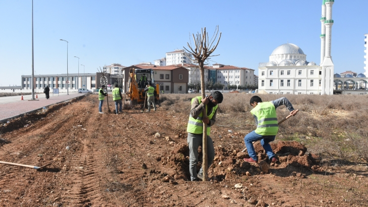 ŞAHİNBEY BELEDİYESİ 4.215.000 AĞAÇ DİKTİ