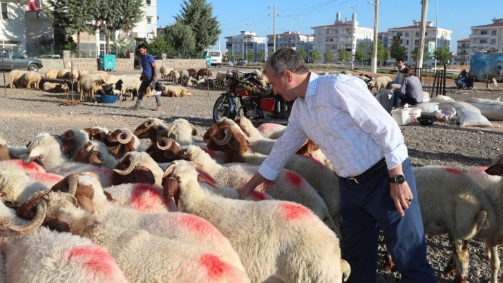 ŞAHİNBEY’DE KURBAN SATIŞ VE KESİM YERLERİ BELİRLENDİ