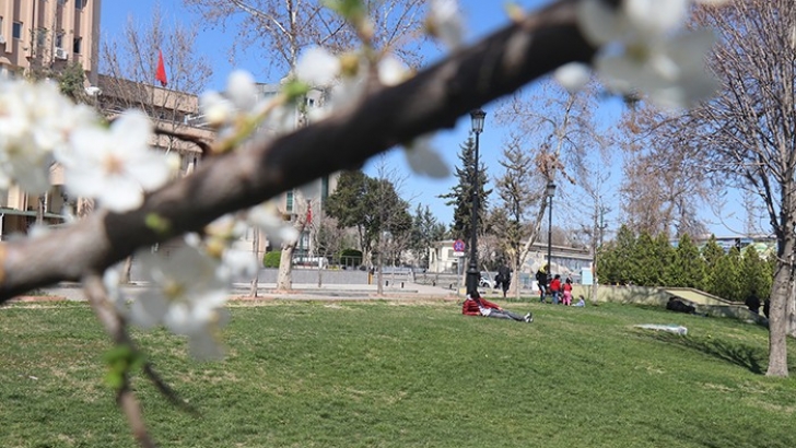 Gaziantep’e Bahar Erken Geldi 